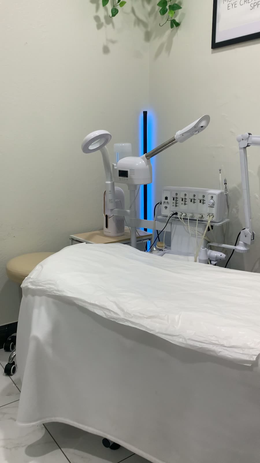 Facial treatment bed